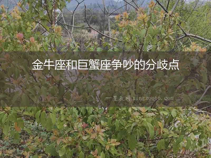 金牛座和巨蟹座爭吵的分歧點