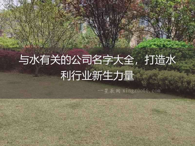 與水有關的公司名字大全，打造水利行業新生力量