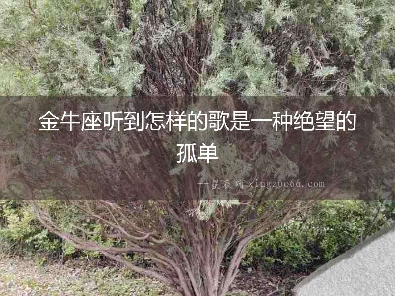 金牛座聽到怎樣的歌是一種絕望的孤單