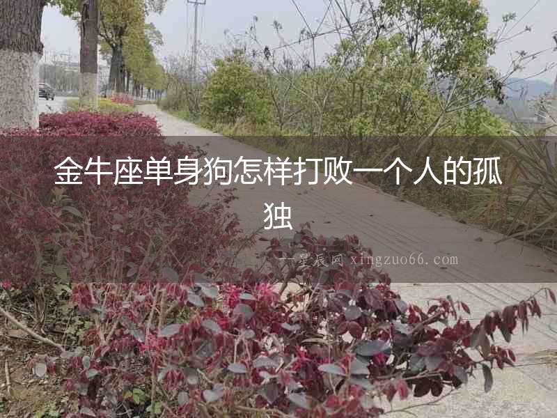 金牛座單身狗怎樣打敗一個人的孤獨
