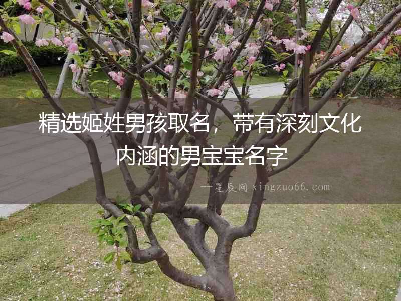 精選姬姓男孩取名，帶有深刻文化內涵的男寶寶名字