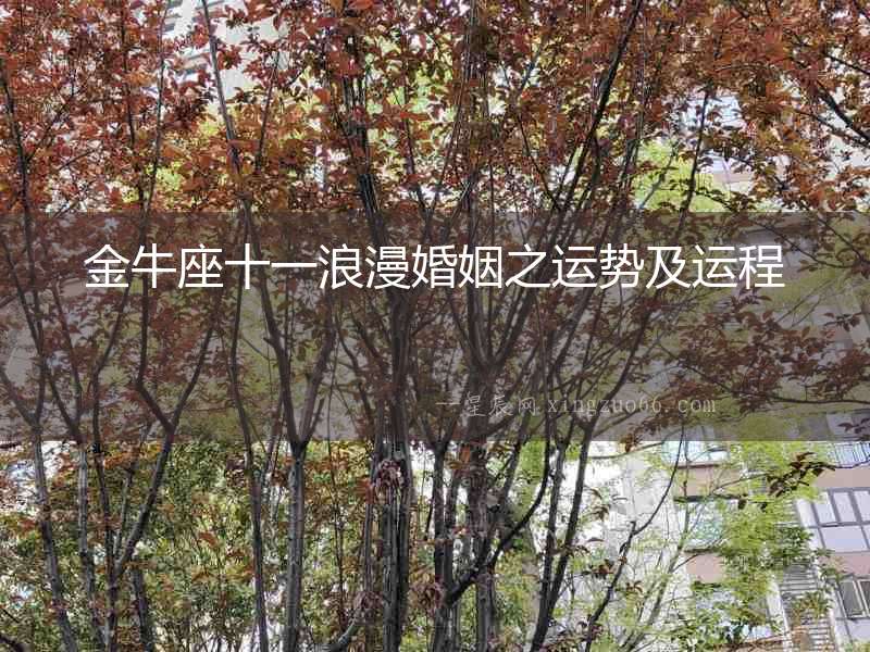 金牛座十一浪漫婚姻之運(yùn)勢及運(yùn)程