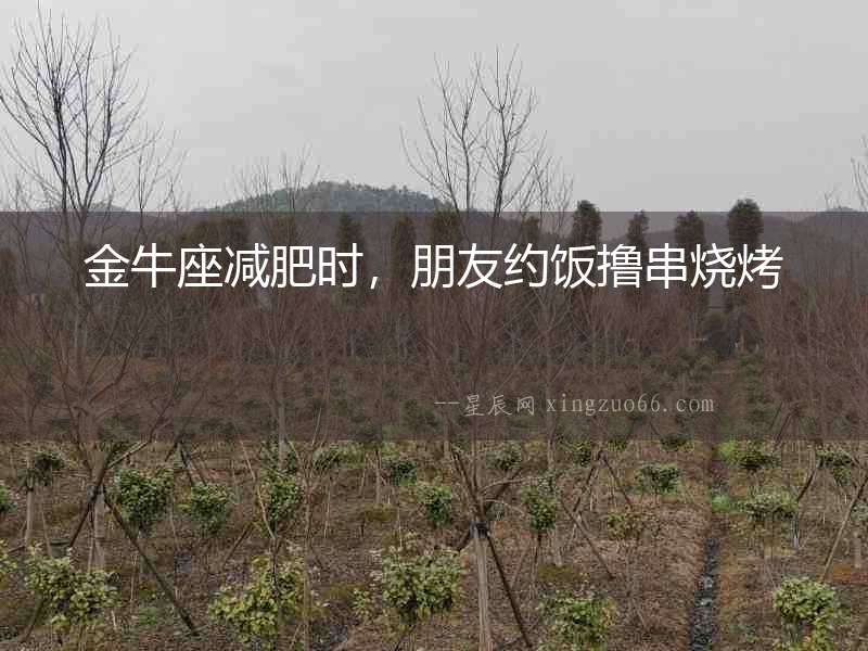 金牛座減肥時，朋友約飯擼串燒烤