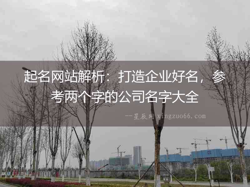 起名網(wǎng)站解析：打造企業(yè)好名，參考兩個(gè)字的公司名字大全