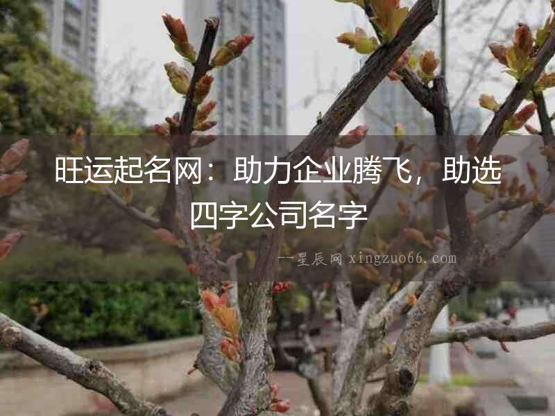 旺運起名網：助力企業騰飛，助選四字公司名字