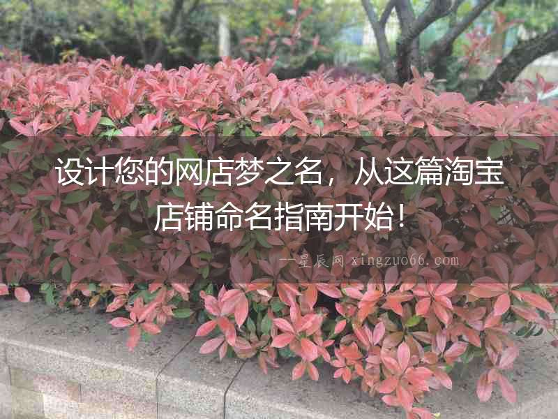 設(shè)計(jì)您的網(wǎng)店夢(mèng)之名，從這篇淘寶店鋪命名指南開始！