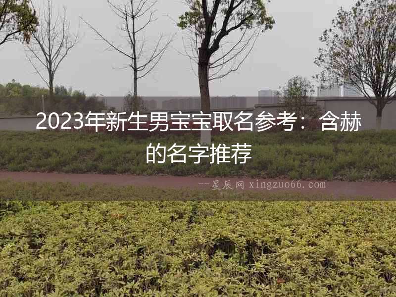 2023年新生男寶寶取名參考：含赫的名字推薦