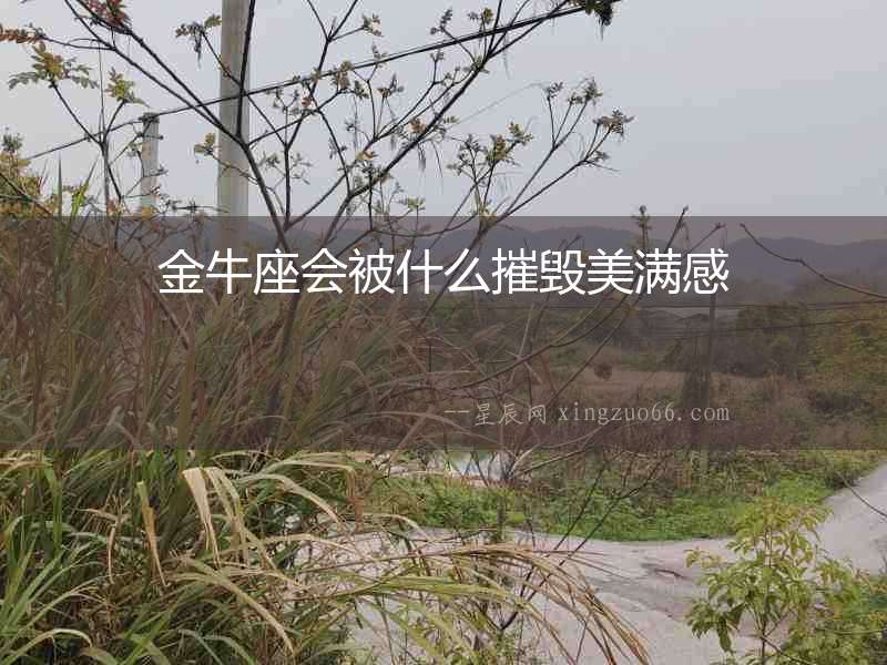 金牛座會(huì)被什么摧毀美滿感