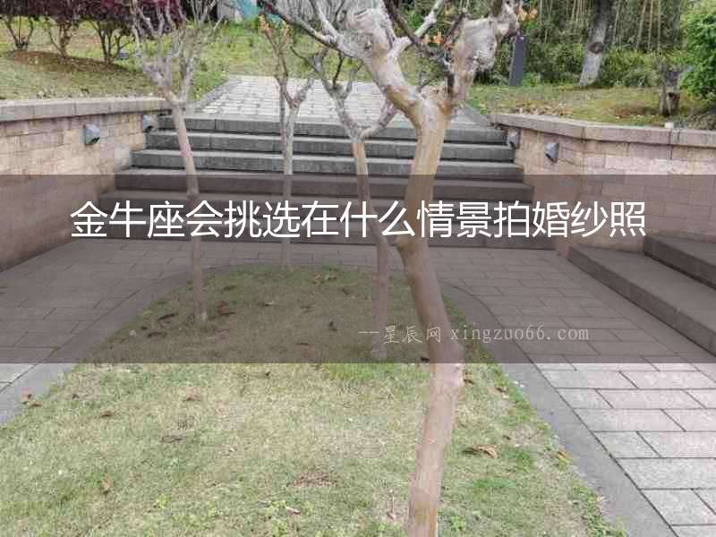 金牛座會挑選在什么情景拍婚紗照