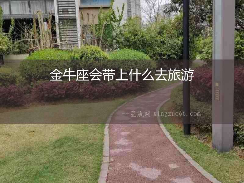 金牛座會帶上什么去旅游