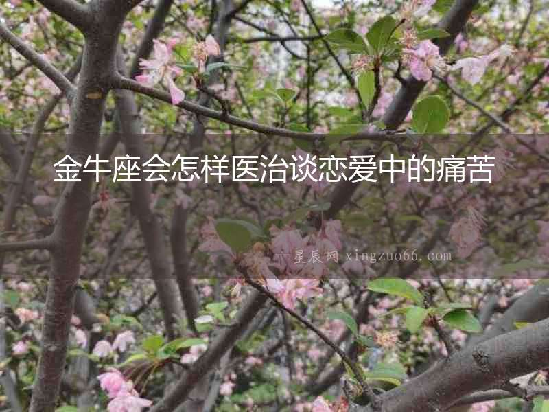 金牛座會怎樣醫(yī)治談戀愛中的痛苦