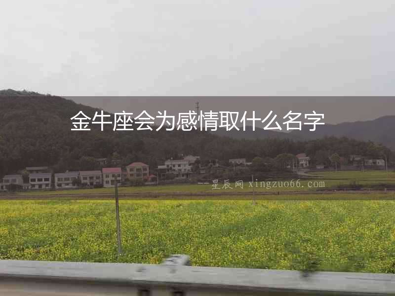 金牛座會(huì)為感情取什么名字