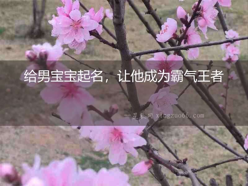 給男寶寶起名，讓他成為霸氣王者