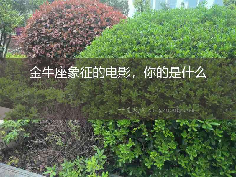 金牛座象征的電影，你的是什么