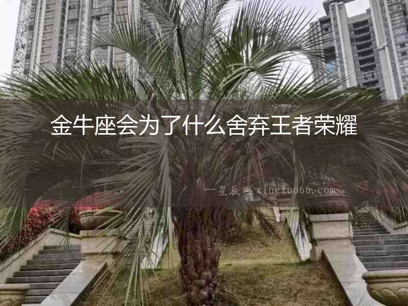 金牛座會(huì)為了什么舍棄王者榮耀