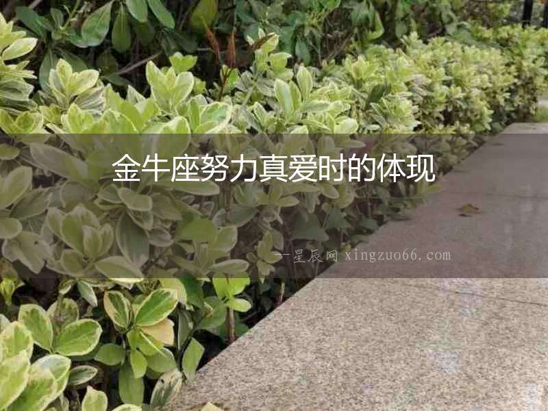 金牛座努力真愛(ài)時(shí)的體現(xiàn)
