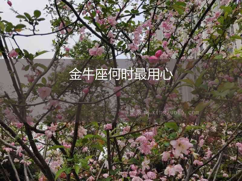 金牛座何時(shí)最用心