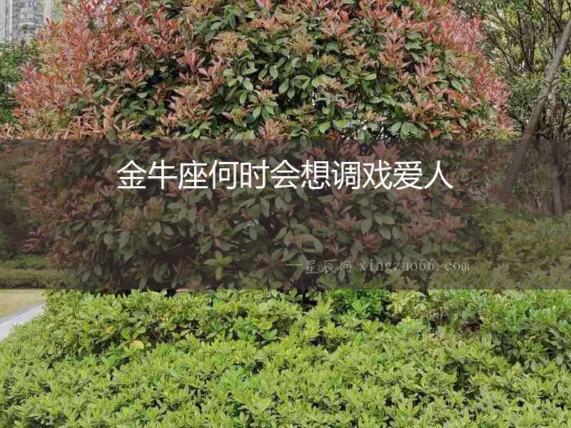 金牛座何時(shí)會(huì)想調(diào)戲愛人