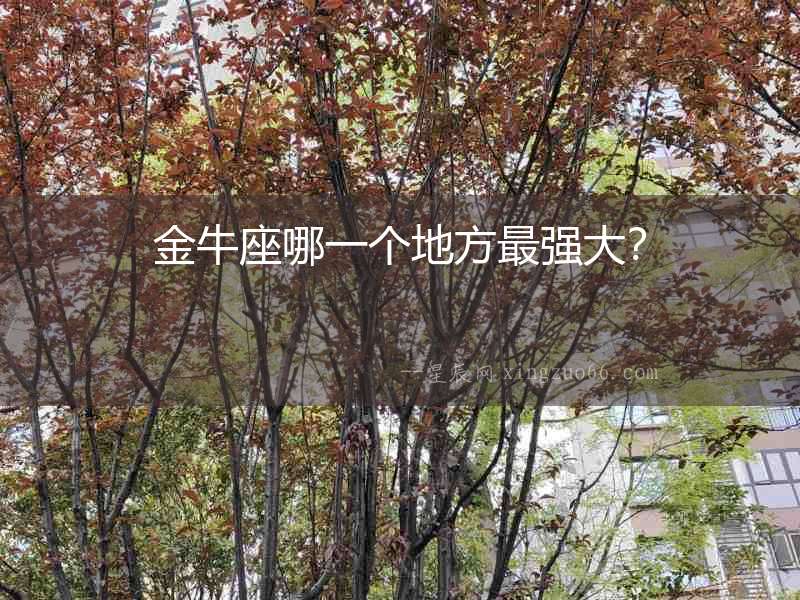 金牛座哪一個(gè)地方最強(qiáng)大？