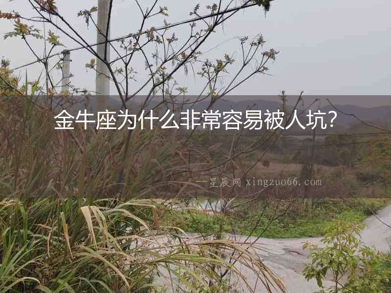 金牛座為什么非常容易被人坑？