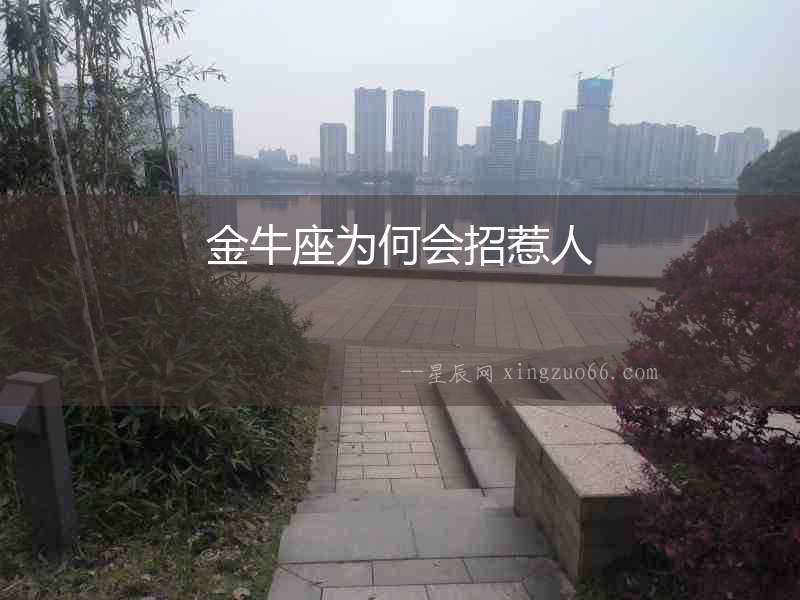 金牛座為何會招惹人