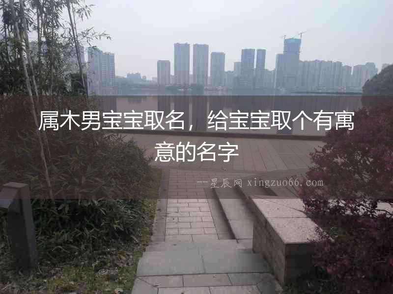 屬木男寶寶取名，給寶寶取個有寓意的名字