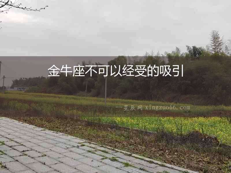 金牛座不可以經受的吸引