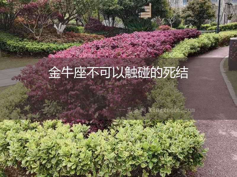 金牛座不可以觸碰的死結(jié)