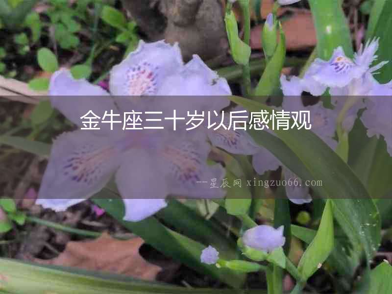 金牛座三十歲以后感情觀
