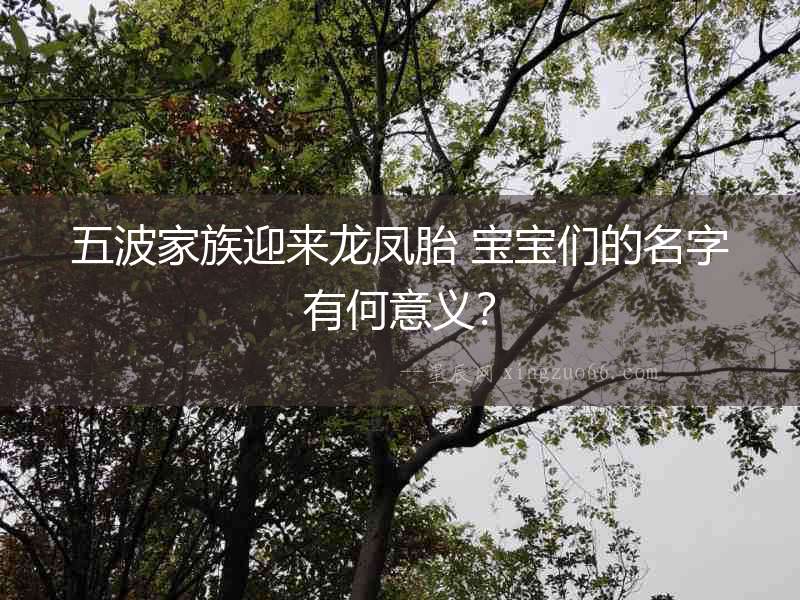 五波家族迎來龍鳳胎 寶寶們的名字有何意義？