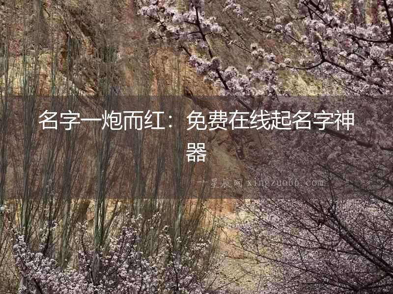 名字一炮而紅：免費在線起名字神器