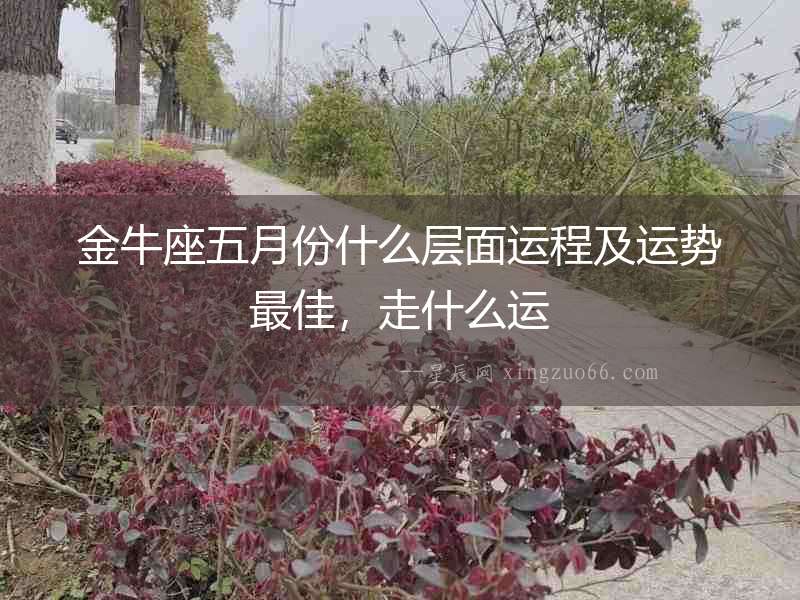 金牛座五月份什么層面運(yùn)程及運(yùn)勢(shì)最佳，走什么運(yùn)
