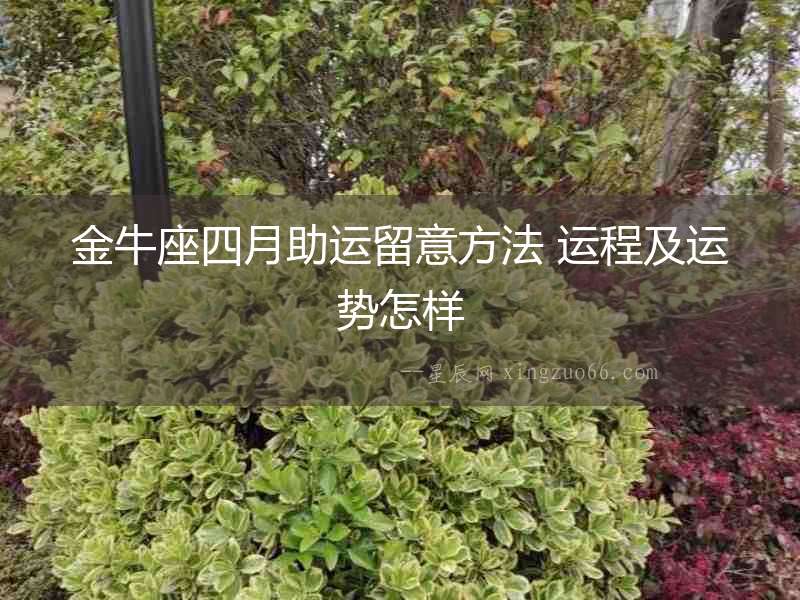 金牛座四月助運(yùn)留意方法 運(yùn)程及運(yùn)勢(shì)怎樣
