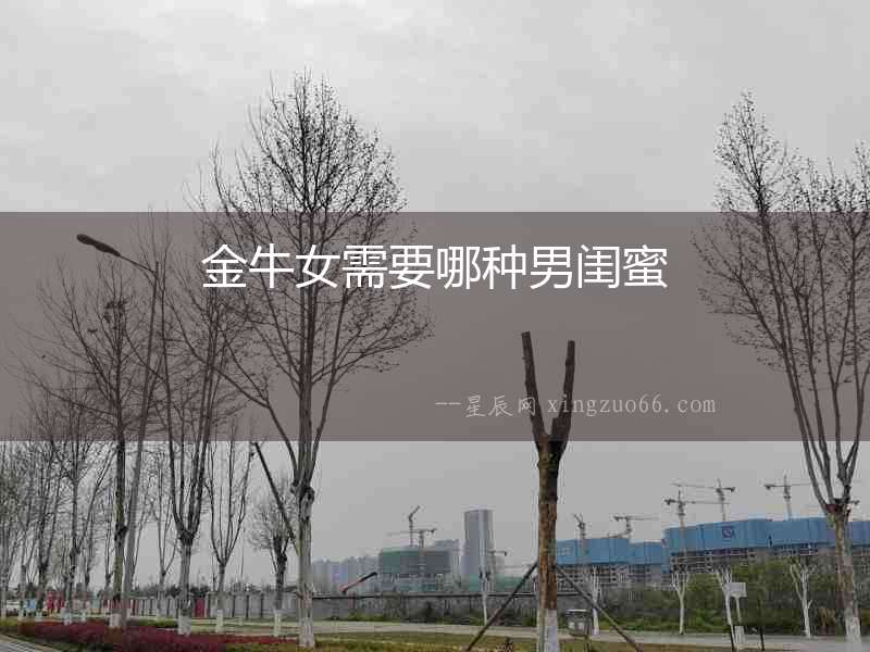 金牛女需要哪種男閨蜜