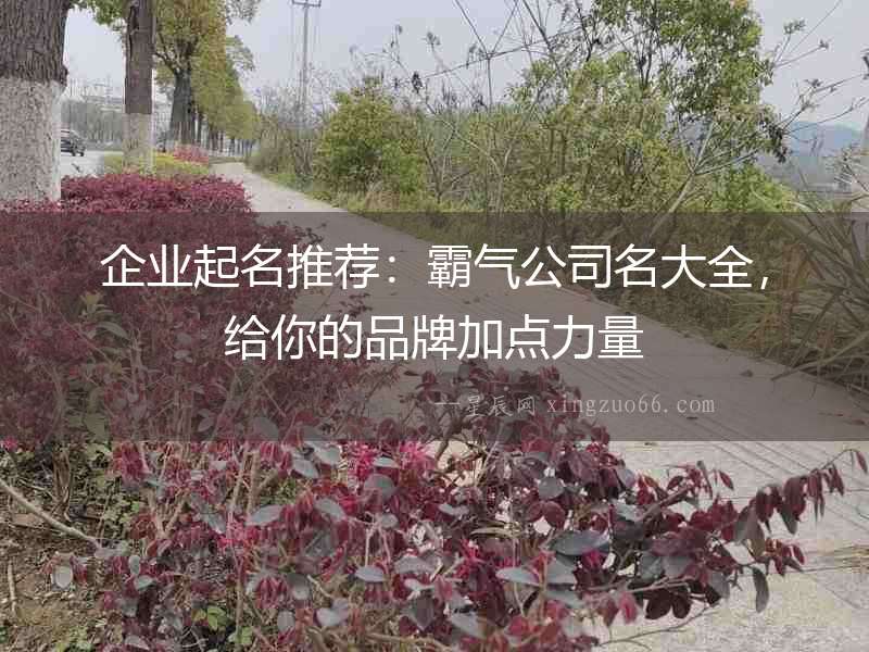 企業(yè)起名推薦：霸氣公司名大全，給你的品牌加點(diǎn)力量