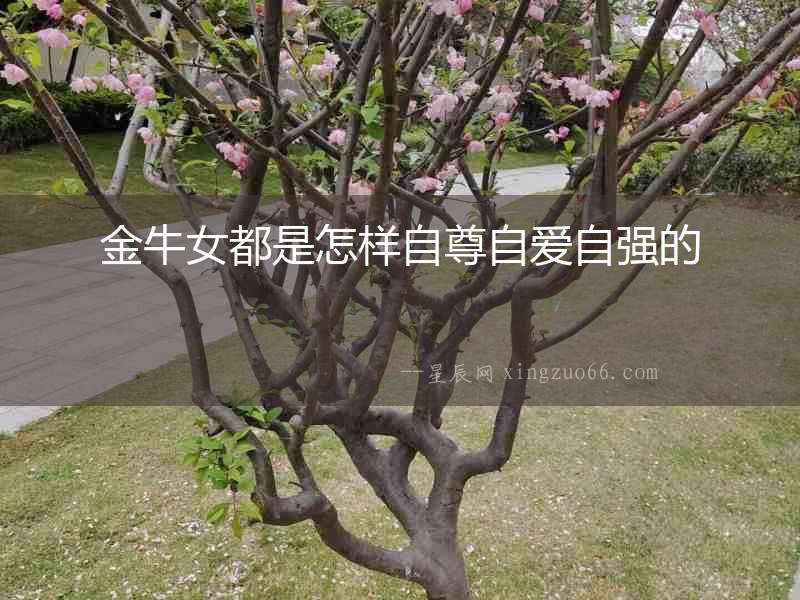 金牛女都是怎樣自尊自愛自強的