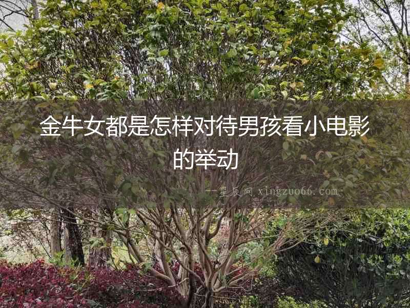 金牛女都是怎樣對待男孩看小電影的舉動
