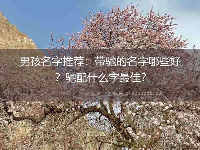 男孩名字推薦：帶馳的名字哪些好？馳配什么字最佳？