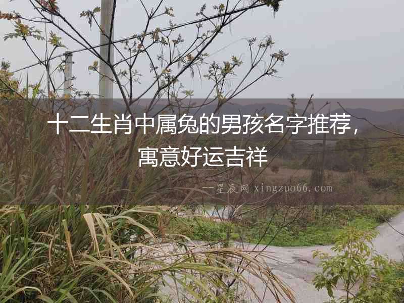 十二生肖中屬兔的男孩名字推薦，寓意好運(yùn)吉祥