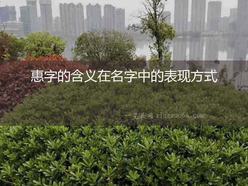 惠字的含義在名字中的表現(xiàn)方式