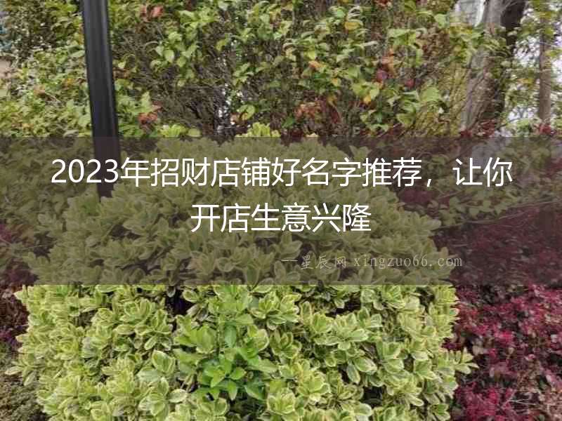 2023年招財店鋪好名字推薦，讓你開店生意興隆