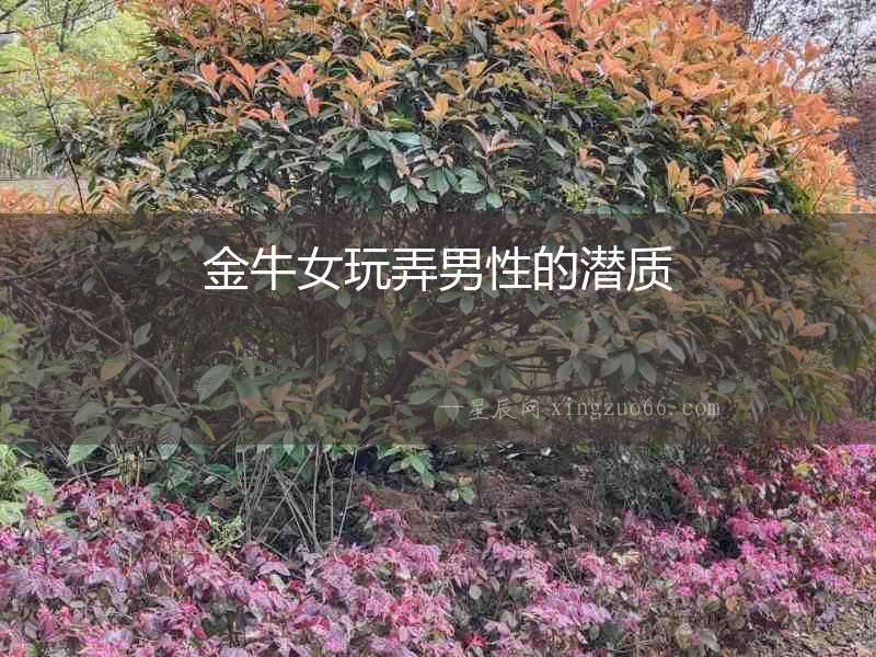 金牛女玩弄男性的潛質(zhì)