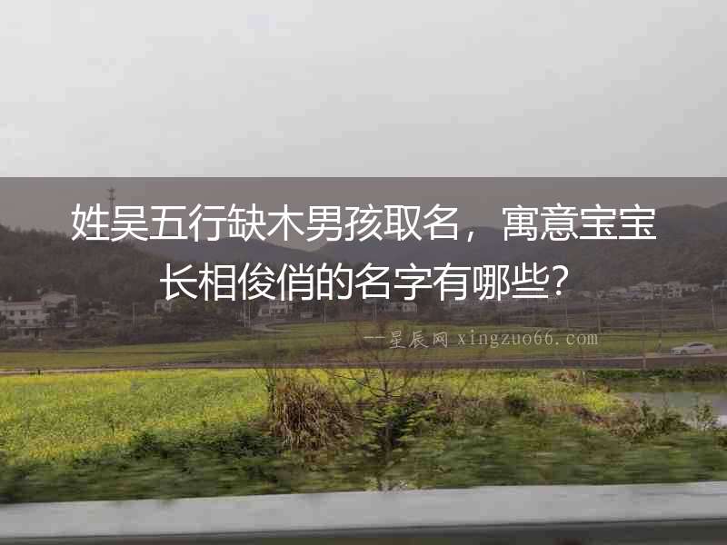姓吳五行缺木男孩取名，寓意寶寶長相俊俏的名字有哪些？