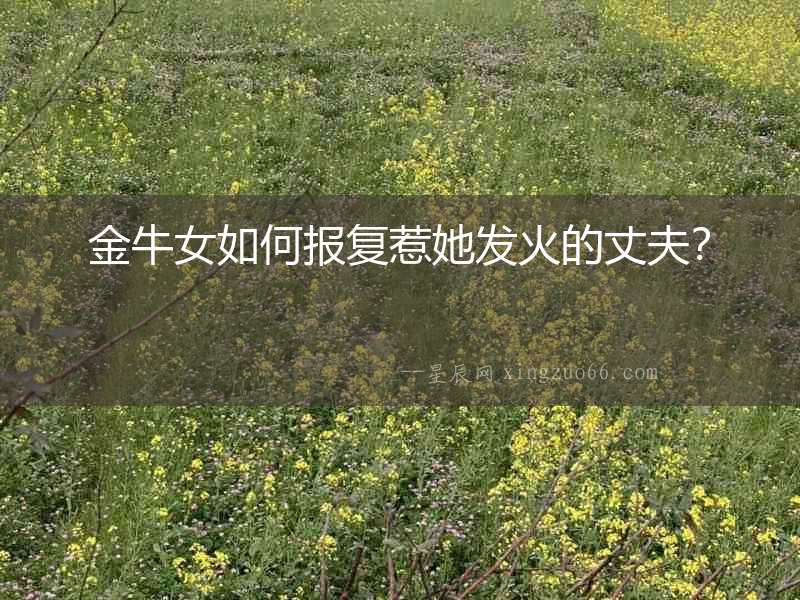 金牛女如何報(bào)復(fù)惹她發(fā)火的丈夫？