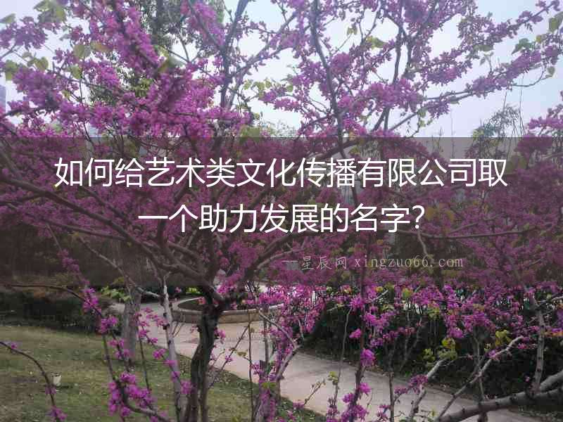 如何給藝術(shù)類文化傳播有限公司取一個(gè)助力發(fā)展的名字？