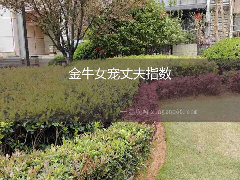 金牛女寵丈夫指數(shù)