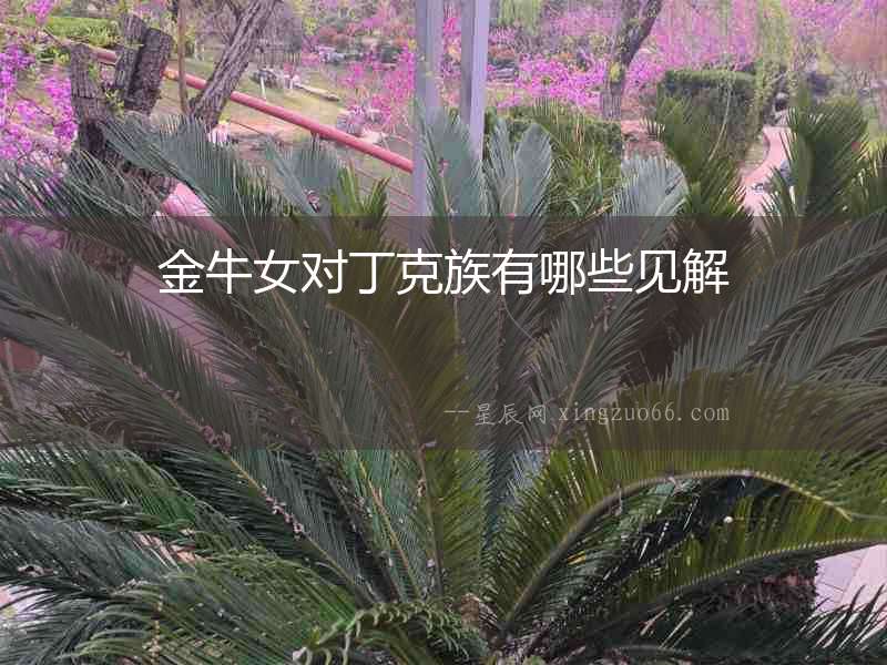 金牛女對丁克族有哪些見解