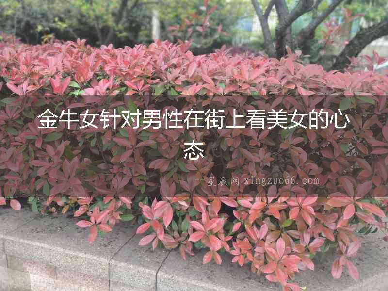 金牛女針對(duì)男性在街上看美女的心態(tài)