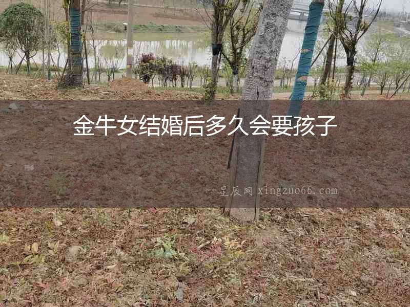 金牛女結(jié)婚后多久會要孩子
