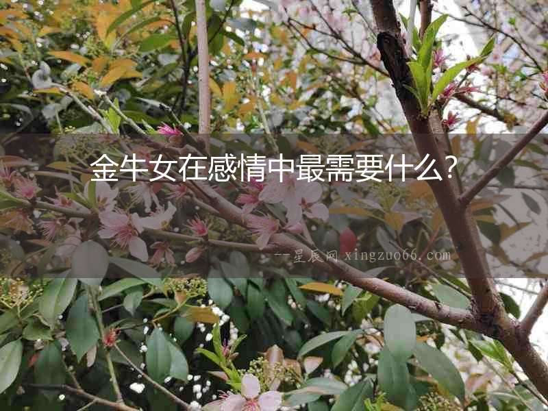 金牛女在感情中最需要什么？
